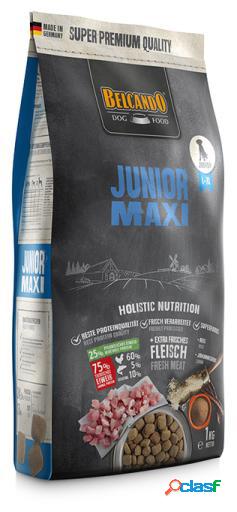 Pienso para Perros Junior Maxi 4 KG Belcando