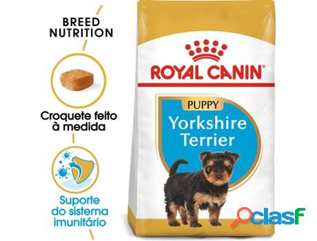 Pienso para Perros ROYAL CANIN Yorkshire Terrier (500g -