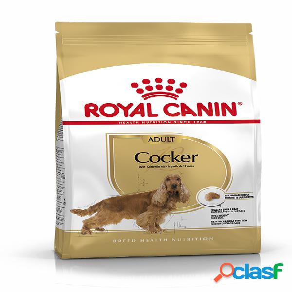 Royal Canin Cocker Adult 3 kg