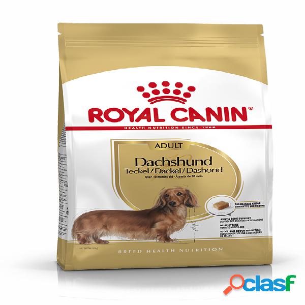 Royal Canin Dachshund Adult 1,5 kg