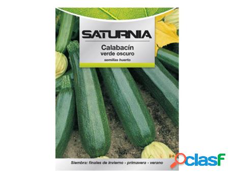 Semillas calabacin verde oscuro (5 gramos) semillas