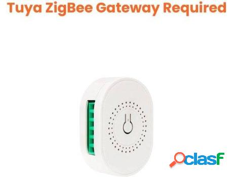 Tuya Smart Zigbee 3.0 16A Diy Mini Switch (Tmwf02-1)