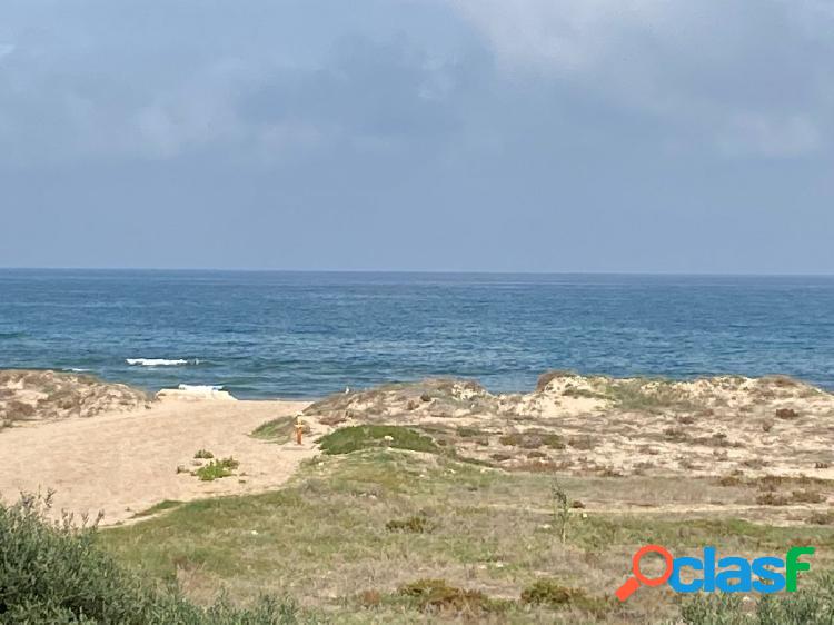 Apartamento en primera línea de playa en Oliva Nova