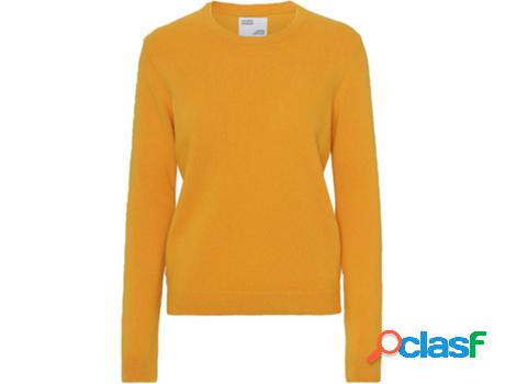 Camiseta COLORFUL STANDARD Mujer (Multicolor - M)
