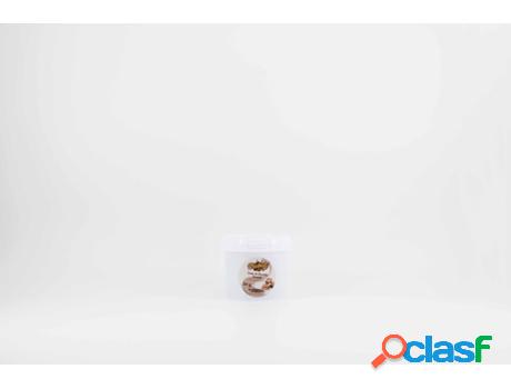 Crema Crujiente De Chocolate PROBOLO (Relleno E Inyección