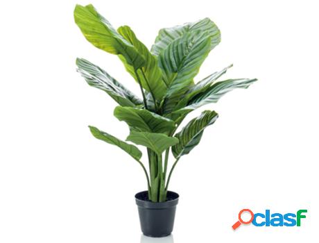 Emerald Planta artificial Calathea Orbifolia en maceta 60 cm
