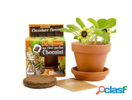 Jogo de Mesa RADIS ET CAPUCINE I Grow My Chocolate Plant (4