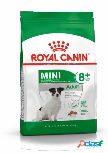 Mini Adult 8+ Pienso para Perro Sénior de Razas Tamaño