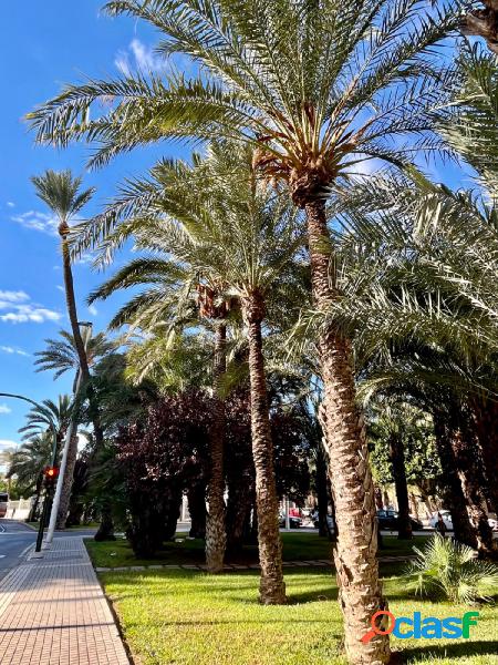 PLANTA BAJA EN ALTABIX Y CERCA DEL CENTRO