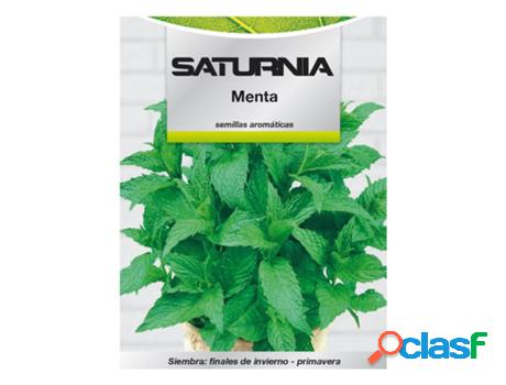 Semillas aromaticas menta (0.3 gramos) horticultura,