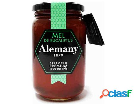 Miel de Eucalipto ALEMANY (500 g)