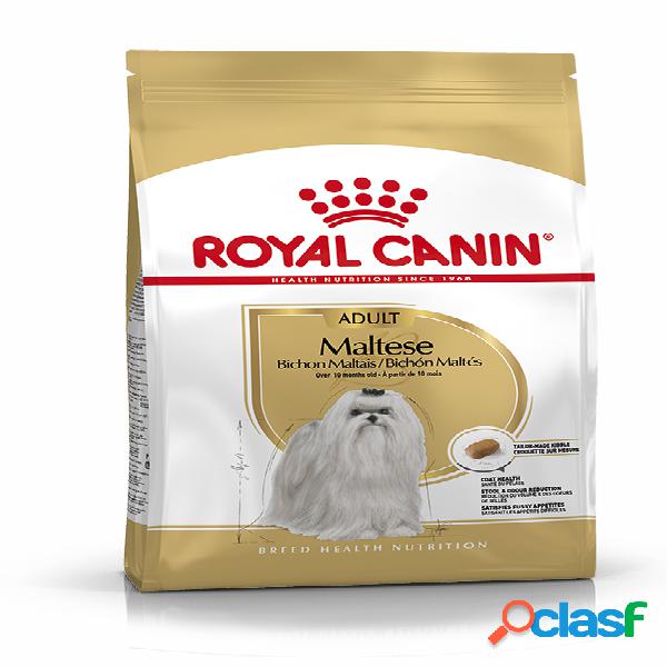 Royal Canin Maltese Adult 1,5 kg