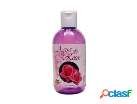 Tónicos de Limpieza PLANTAPOL Água De Rosas (250 ml)