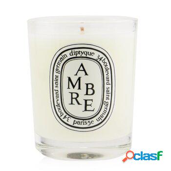 Diptyque Scented Candle - Ambre (Amber) 70g/2.4oz