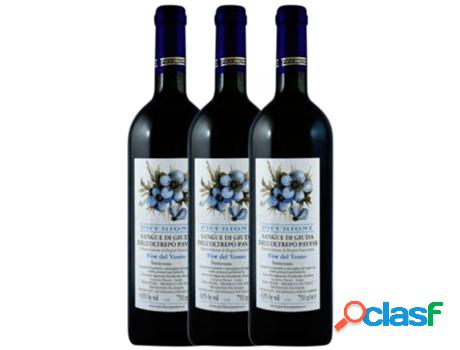 Generoso PICCHIONI Picchioni Fior Del Vento Sangue Di Giuda