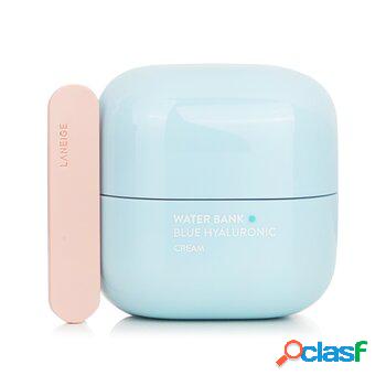 Laneige Water Bank Blue Hyaluronic Cream (For Combination To