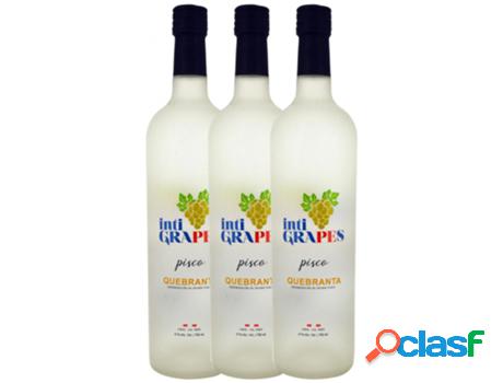 Pisco VDS Vds Inti Grapes Quebranta (0.7 L - 3 unidades)