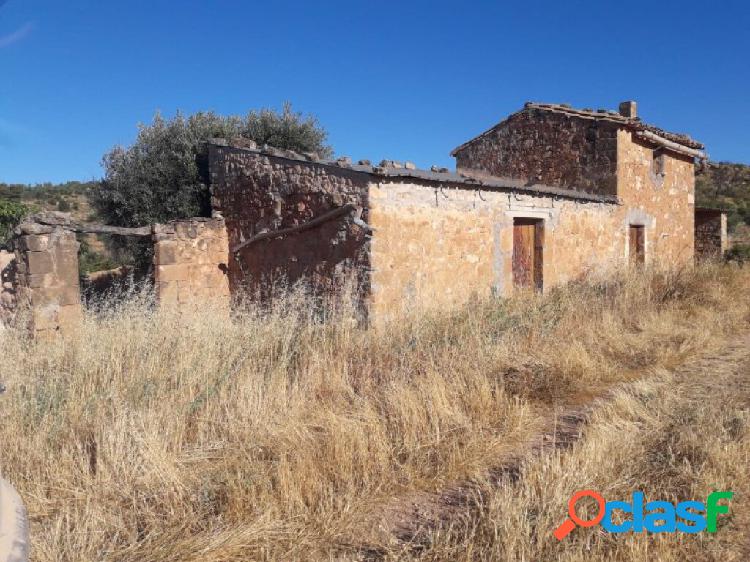 SE VENDE FINCA PLANTADA DE OLIVOS EN PLENA PRODUCCIÓN CON