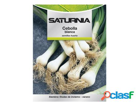 Semillas cebolla blanca (4 gramos) semillas verduras,