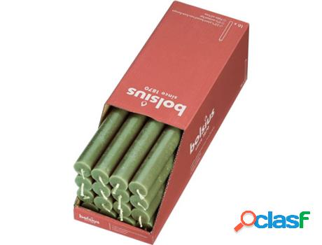 Set 16 Velas BOLSIUS Shine Oliva (Verde - Duración: 13h)