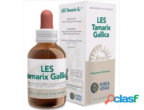 Suplemento Alimentar FORZA VITALE Les Tamarixallica (50 Ml)