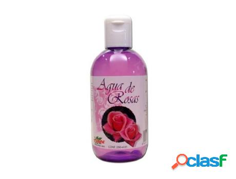 Tónicos de Limpieza PLANTAPOL Água De Rosas (250 ml)