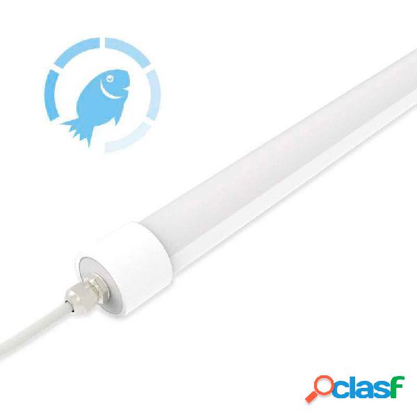 Tubo led dc12v ip65 22w 150cm pescadería blanco frío