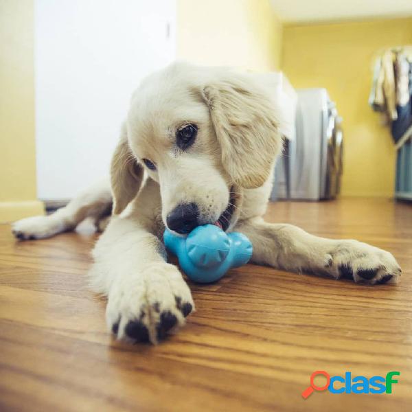 West Paw Juguete para perros con Zogoflex Tux azul