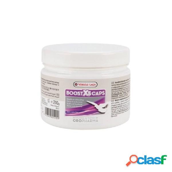 fortificante vitaminico para palomas BOOST X5 VERSELE LAGA