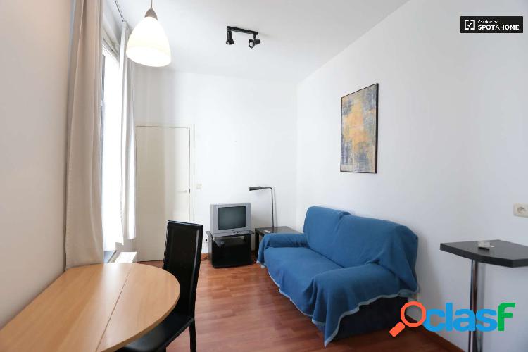 Acogedor apartamento de 1 dormitorio en alquiler en Ixelles