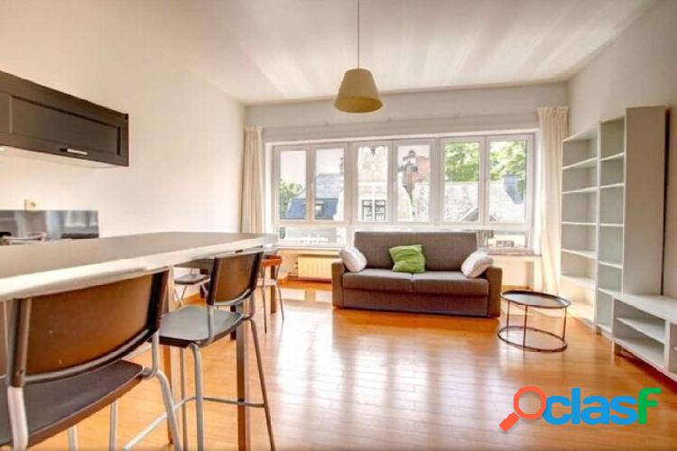 Apartamento de 1 dormitorio en alquiler en Louise