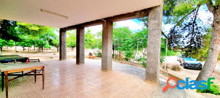 CAMPO ECON\xc3\x93MICO