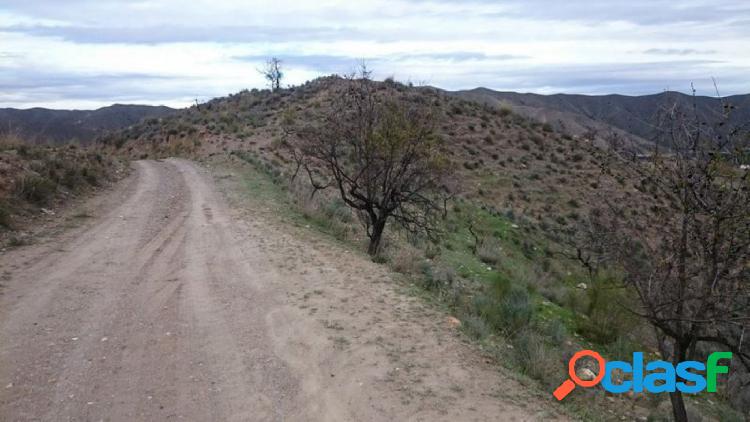 FINCA EN VENTA EN PARAJE ARROYO DEL ACEITUNO, CANTORIA