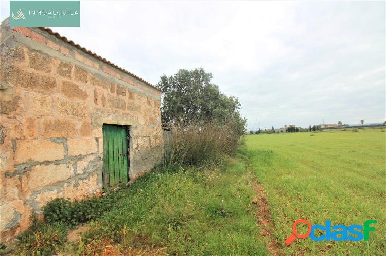 FINCA R\xc3\x9aSTICA EN MURO EDIFICABLE. 14400 M2 PARC. 60