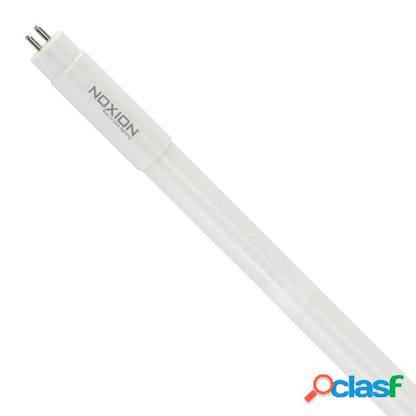 Noxion Avant LED Tubo T5 Extreme (Mains) High Output 26W