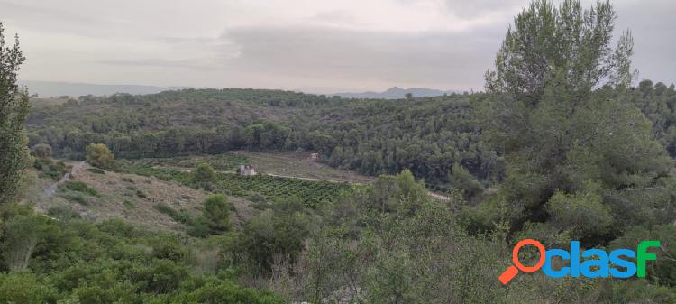 Parcela en colonia Los Rosales