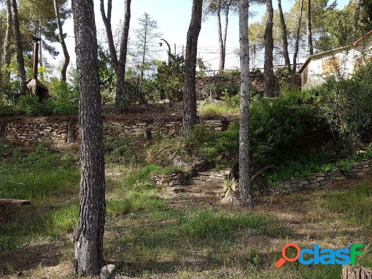 Parcela en venta en la urbanizaci\xc3\xb3n de El Serrat