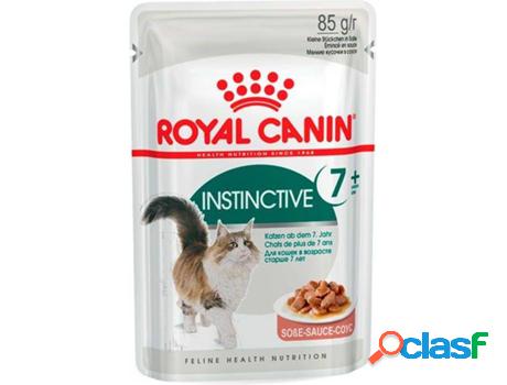 Piensos para Gatos ROYAL CANIN (12 Un - 85g - Húmedo -