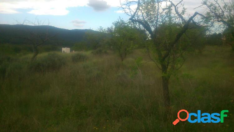 TERRENO PEGADO AL PUEBLO PARA URBANIZAR