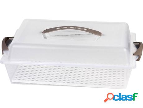 Tartera Rectangular Pavlova Opaca Asas Colores 38X28X13Cm