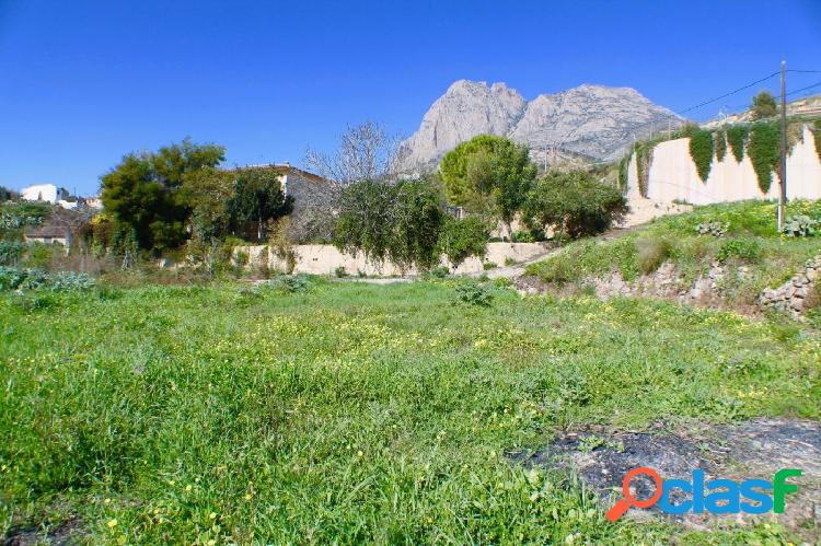 Terreno de huerta 5000 m2 en Finestrat a 15 min de la Playa