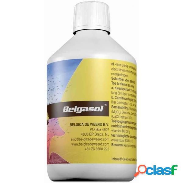 BELGASOL BELGICA DE WEERD electrolítos y vitamina B12 para