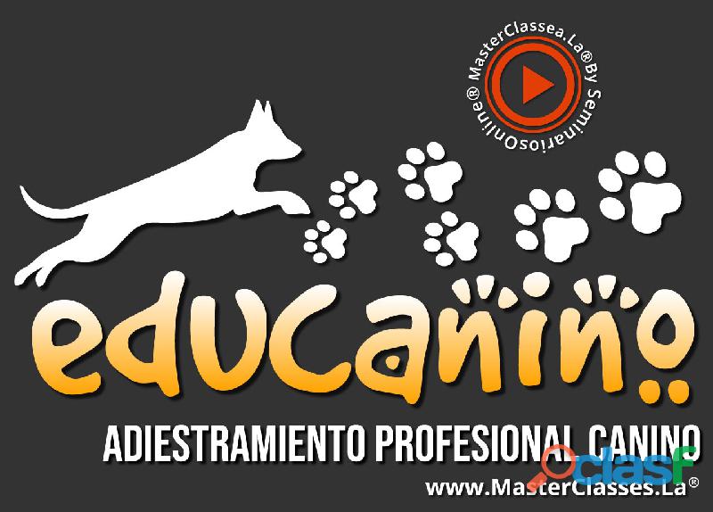Educanino Adiestramiento Profesional Canino Masterclasses