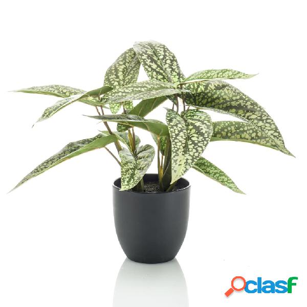 Emerald Calathea artificial Dots en maceta 38 cm