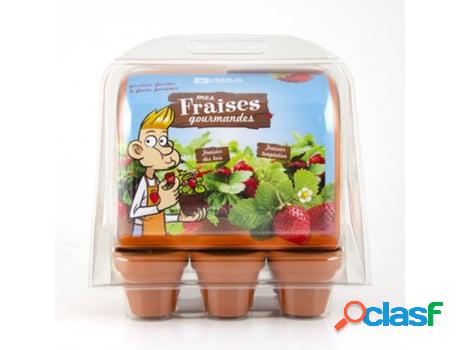 Jogo de Mesa RADIS ET CAPUCINE Mini Greenhouse -