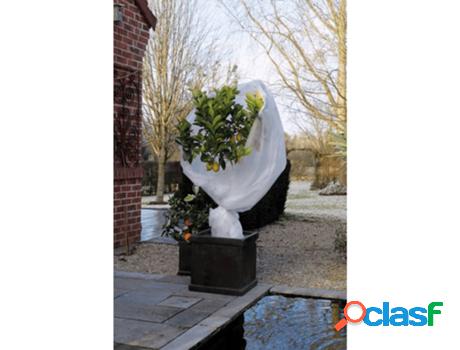 Protector De Plantas Contra Las Heladas 30 G/M² 2X5 M