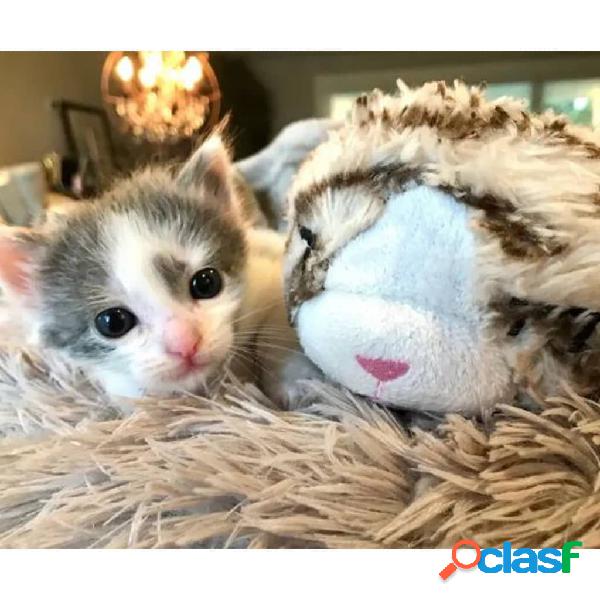 Snuggle Puppy Gatito de peluche para gatos con latido gris y