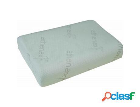 Almohada HERDEGEN (50x32x10cm - Algodón - Multicolor)