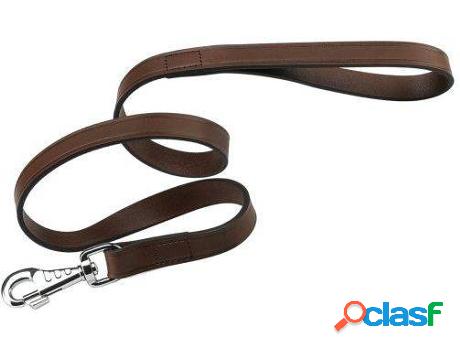 Correa para Perros FERPLAST De Cuero 20 x 100 cm