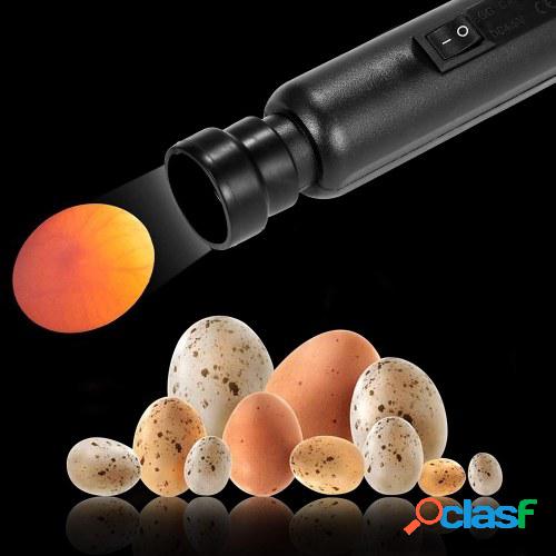 Luz fría brillante LED Huevo Candler Tester Incubadora